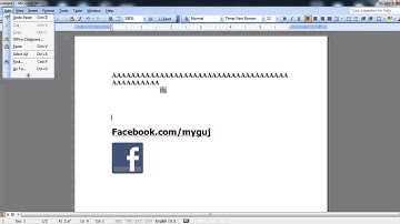 MS Office Word 2003 - Edit Menu