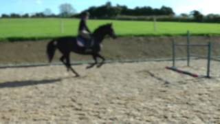 bugsy jumping april 2017