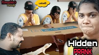 Wife | Prank|Hidden |Lizard |Scary Enjoyment |Fun With Wife | Inside Box | Tamil | Ronaldo’s Family screenshot 4