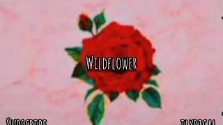 5 Seconds of Summer- Wildflower (Lyrics)