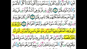 سورة محمد 12-15 || مكررة للحفظ 🌷🤍