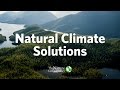 Natural climate solutions