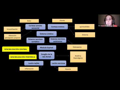 Vídeo: Reducción Del Dolor Al Inducir La Adaptación Sensorial-motora En El Síndrome De Dolor Regional Complejo (CRPS PRISMA): Protocolo Para Un Ensayo Controlado Aleatorio Doble Ciego