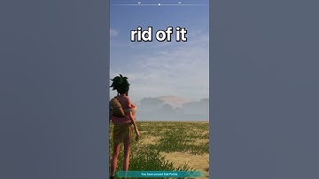 Palworld Tips for Beginners!