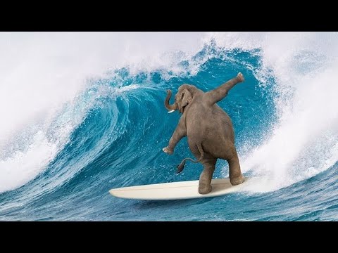 Эмоции и чувства стали тебя обескураживать?🥺🤔😱😵‍💫 ПОЗДРАВЛЯЮ!!! 🔥🌈Твоя материя облегчается 🫧🪶