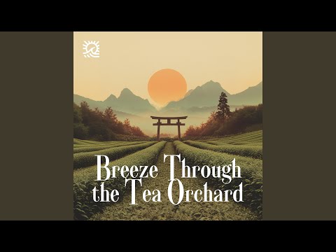 Смотреть «Fading Light» на YouTube