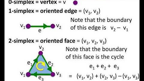optional lecture a terse introduction to simplicial complexes