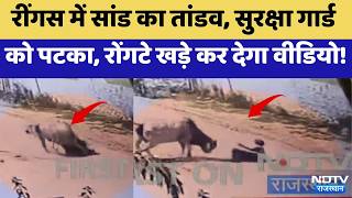 Reengus में Bull का तांडव, Security Guard को पटका, रोंगटे खड़े कर देगा Video! | Top News