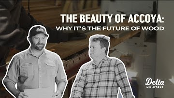 The Beauty of Accoya: Why It’s the Future of Wood