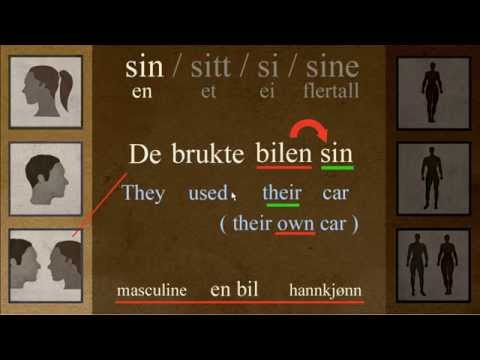 Sin, Sitt, Si, Sine VS, Hans, Hennes, Deres. Norwegian Language: Bokmål