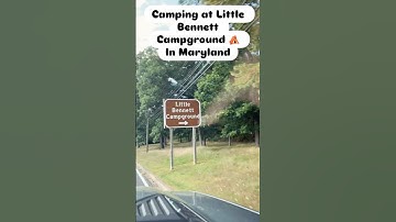 Epic Airstream Adventure at Little Bennett Camp