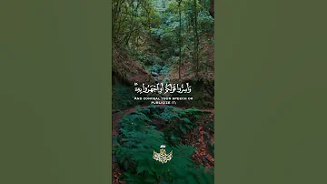 القارئ عبدالباسط عبدالصمد 