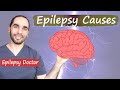 What causes Epilepsy and Seizures? Depends on the age