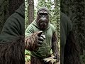 This Dad Joke Physically Hurt The Forest