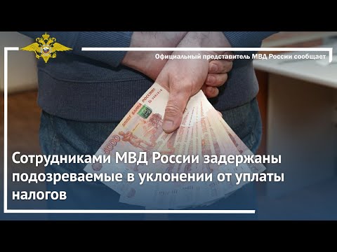 Ирина Волк: Сотрудниками