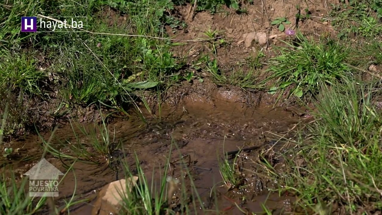MJESTO POVRATKA: BUKVICA KALINOVIK