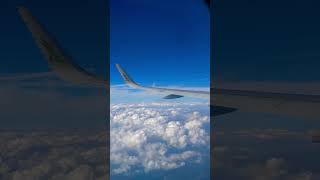 Gulf Airways Habibi Come To Dubai