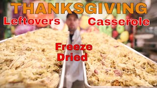 Freeze Drying 🦃Thanksgiving Leftovers! Make a Thanksgiving 🦃Casserole #freezedriedthanksgiving