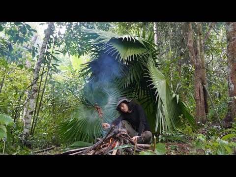 วีดีโอ: จะรู้ได้อย่างไรว่าคุณมี Jungle Rot: 13 ขั้นตอน (พร้อมรูปภาพ)