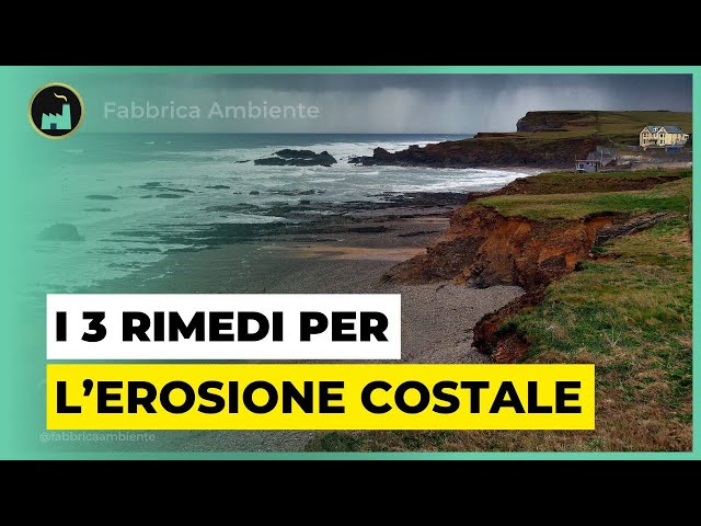 Erosione Delle Coste: Ecco I 3 Rimedi Naturali Per Salvare Adesso L'Ambiente Costiero e Le Spiagge