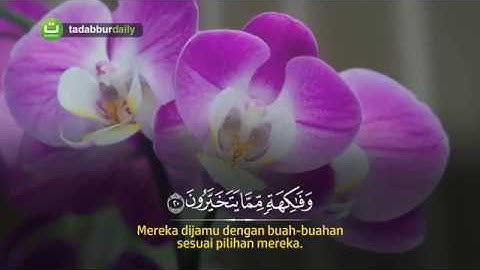 سورة الواقعة للقاريء زين أبو كوثر - Surah Al Waaqi'ah  - Zain Abu Kautsar