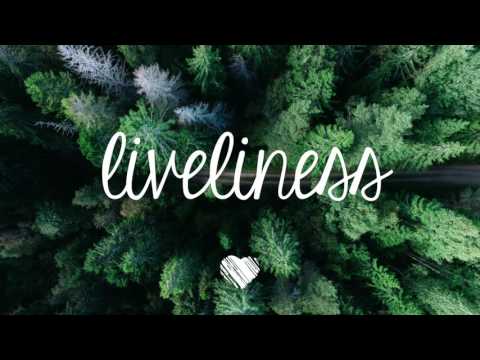 Dennis Lloyd - N E V E R M I N D