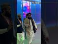 Талибы на ПМЭФ 2025