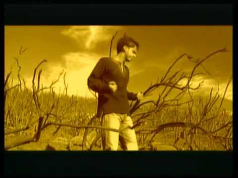 Tanga mushuk suratiga yopishib qolgan