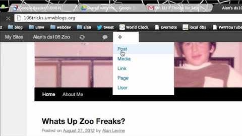 Uploading Animated GIFs to Wordpress
