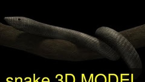 3D Model of snake Review