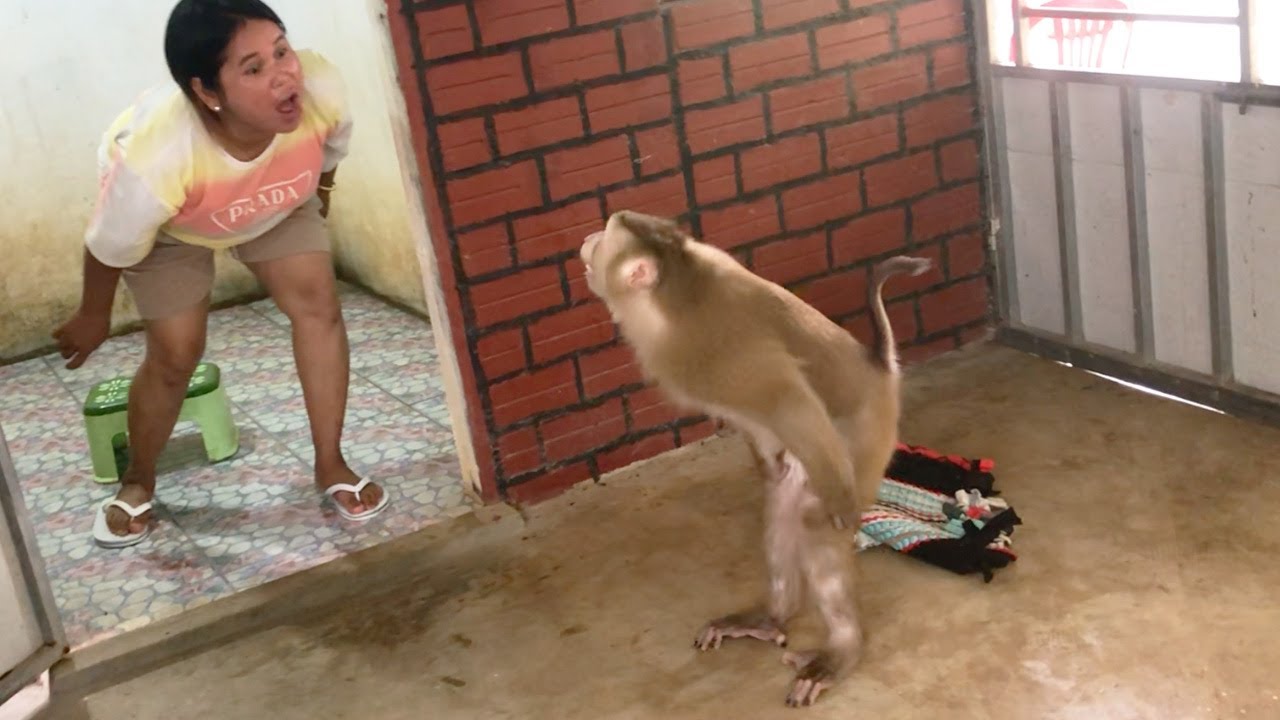 Prince Jason Funniest Gesture To Quarrel Refuse Take Bath When Mom Imitate