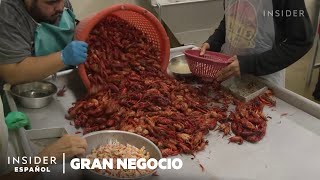 Una empresa de cangrejos de Luisiana cosecha 27.000 kilos al día | Gran Negocio | Insider Business