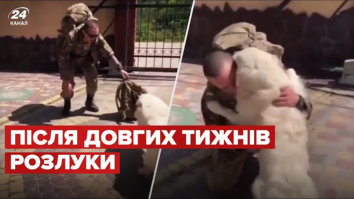 😍Повернувся! Собака зворушливо зустріла господаря з війни