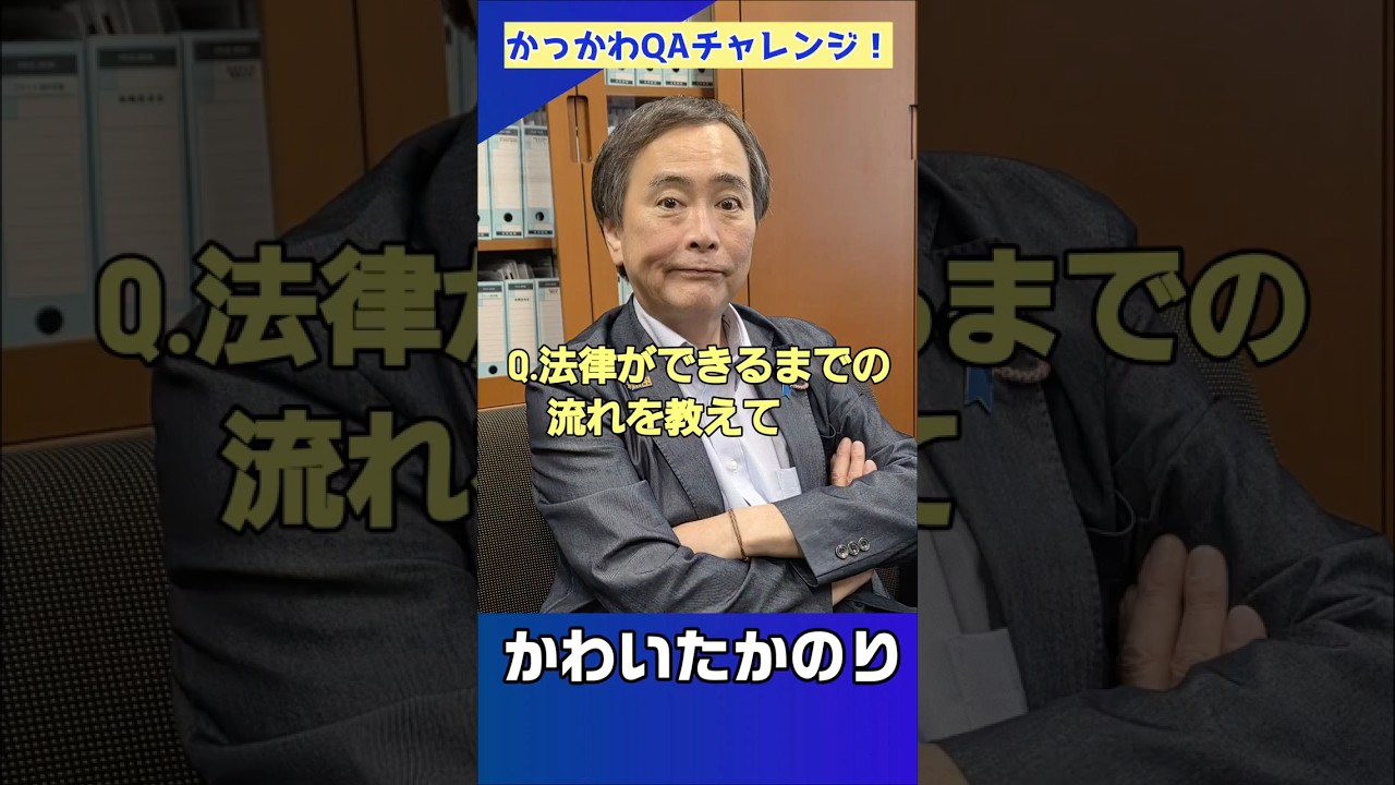 【Q&A】法律はどうやってできる？