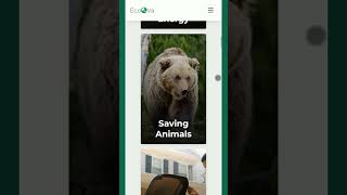 Responsive Save Environment Website | #shorts