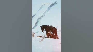به نام الله که بخشاینده و مهربان است #قرآن_فارسی #خدا #آخرت #انگیزشی #سورة الفاتحه