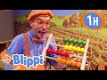 Blippi Explores a Children's Museum - Learning Kid's Toys! | Fun with Blippi!
