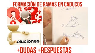 ¿Ramas de caducos? vamos a ver como se hacen