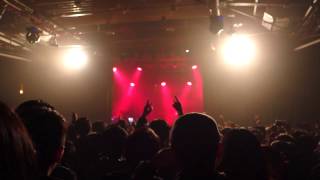 Animals As Leaders funny fail XD