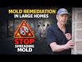 How to Treat Mold in Big Homes