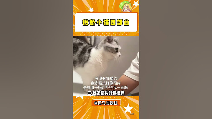 猫：真是抛媚眼给瞎子看啊！ #猫咪 #萌宠出道计划 #记录猫咪日常 #猫猫的心思全写在脸上了 #抖音萌宠#shorts