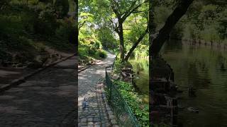 Toulouse in Spring Part 2 | Adventures in Southern France