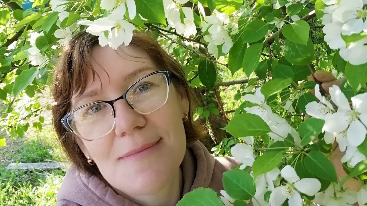 Фото-папка, покупки @agiart6090 ,Валбериз и диз.посылка. #скрапбукинг ...