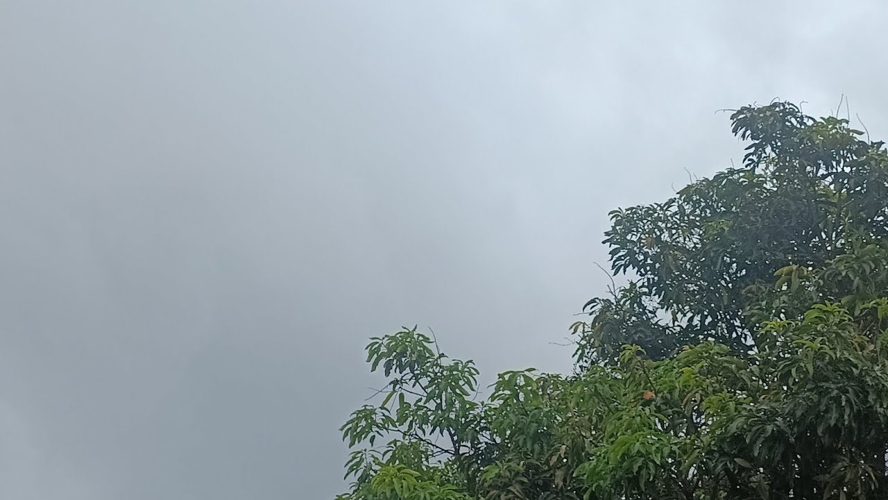 Uma manhã de chuva