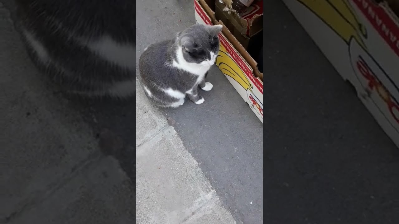 Викат ме, но се правя на приятно разсеяна