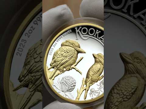 Video: Het kookaburras goud gewen?