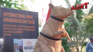 Cambodia Pays Tribute To Landmine Sniffing Rat Magawa With Statue | ALERT News