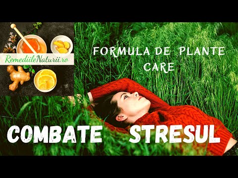 Tinctura din Plante Medicinale Calmante / Remediile Naturii