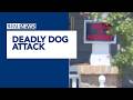 Dog owner faces manslaught charge in woman's death