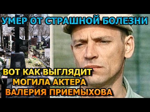 ЖУТКОЕ ЗРЕЛИЩЕ! Вот